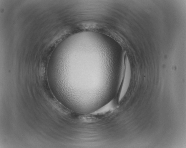 X0000081290372200701251659