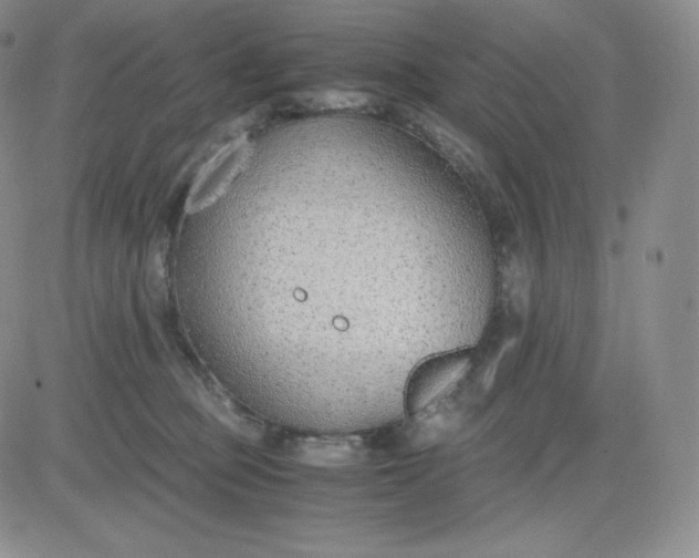 X0000081290373200701251659