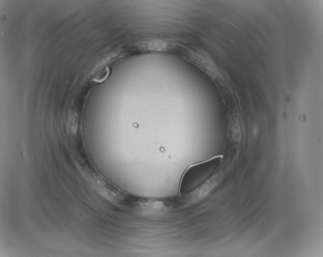 X0000081290374200701251659