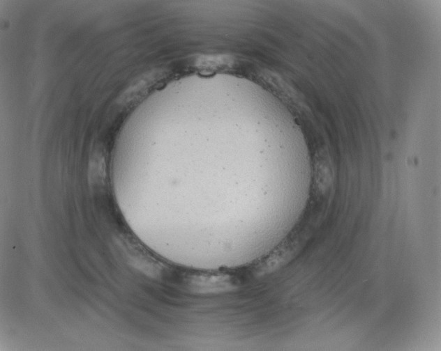 X0000081290375200701251659