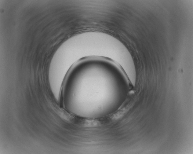 X0000081290376200701251659