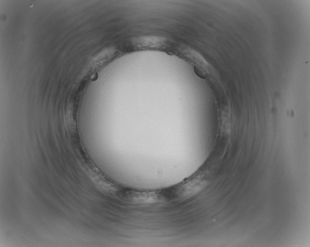 X0000081290377200701251659