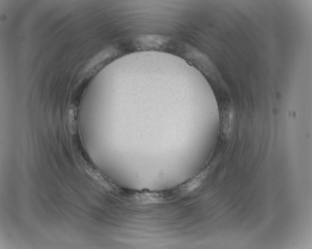 X0000081290378200701251659