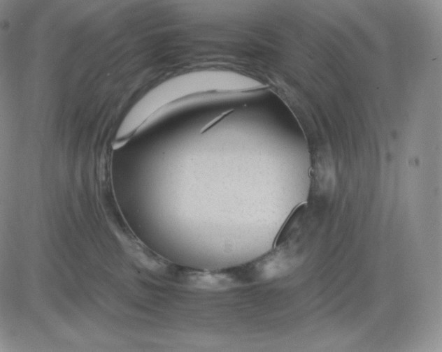 X0000081290379200701251659