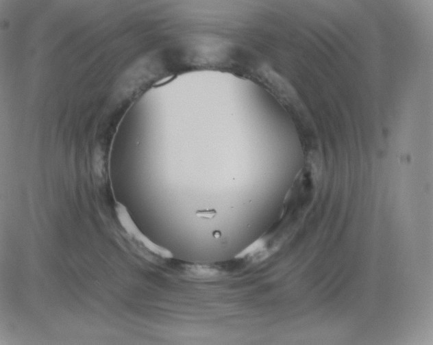 X0000081290380200701251659