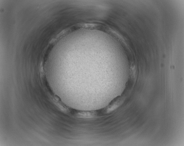 X0000081290381200701251659