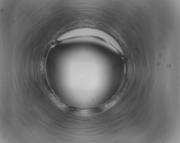 X0000081290382200701251659