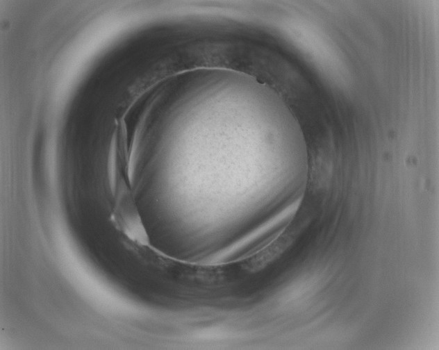 X0000081290383200701251659