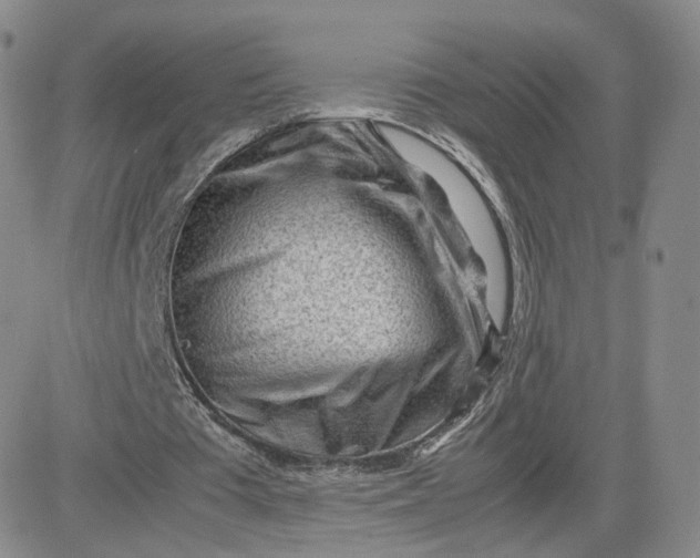 X0000081290385200701251658