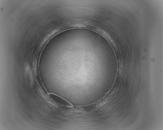 X0000081290386200701251658