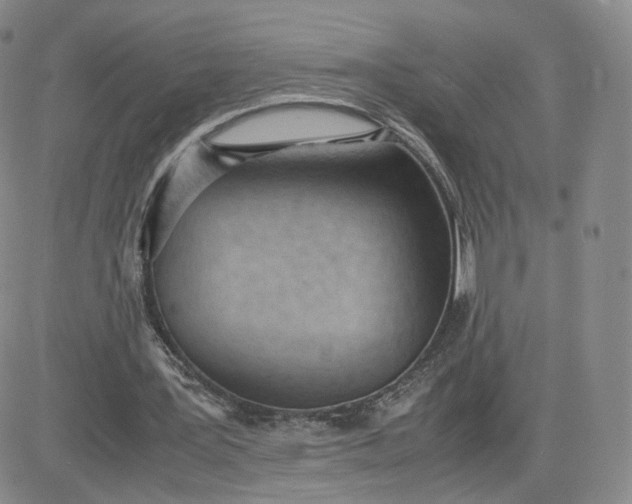 X0000081290387200701251658