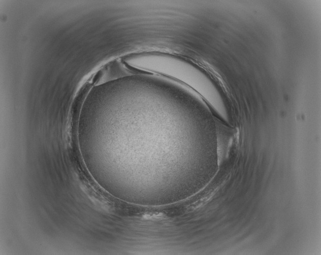 X0000081290388200701251658