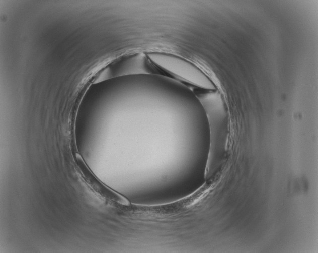 X0000081290389200701251658