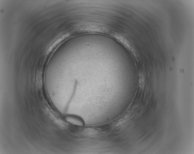 X0000081290390200701251658