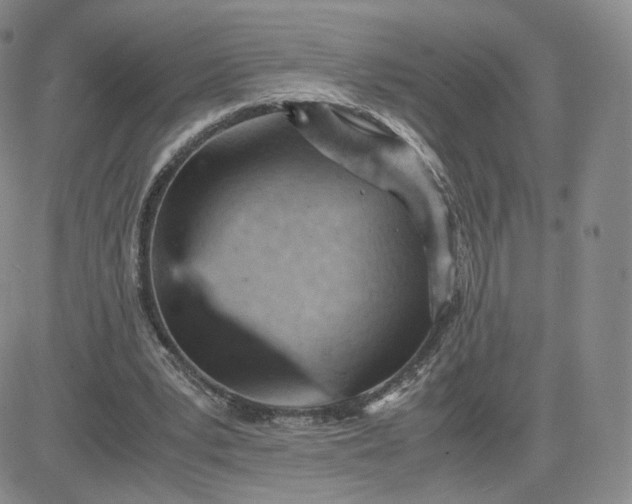 X0000081290391200701251658