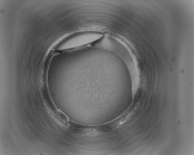 X0000081290392200701251658