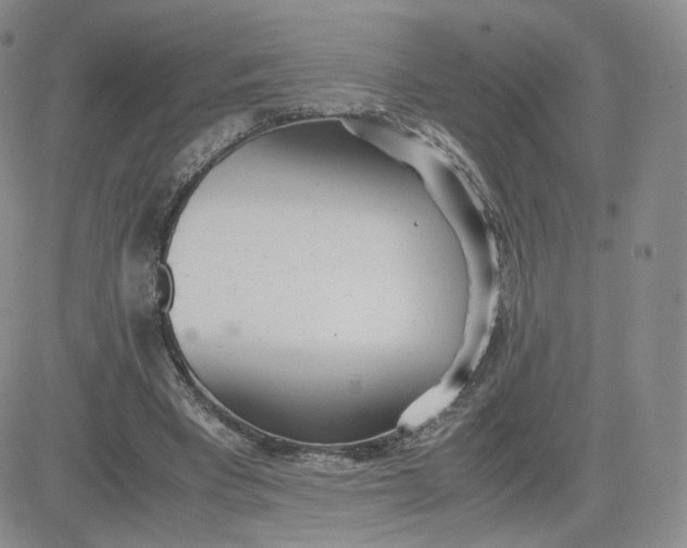 X0000081290393200701251658