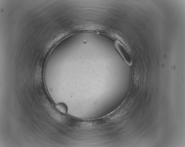 X0000081290394200701251658