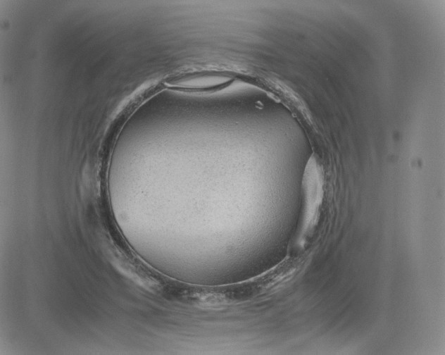 X0000081290395200701251658