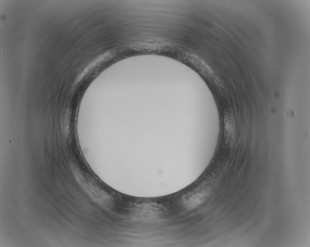 X0000081290396200701251658