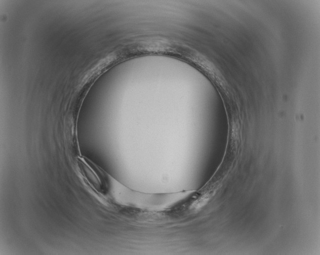 X0000081290397200701251658