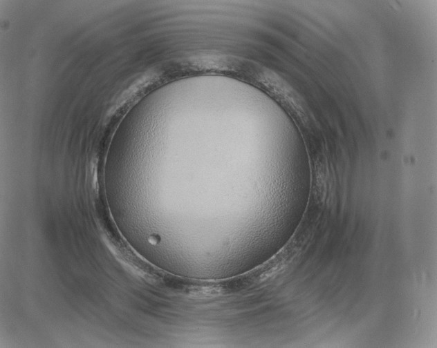 X0000081290398200701251658