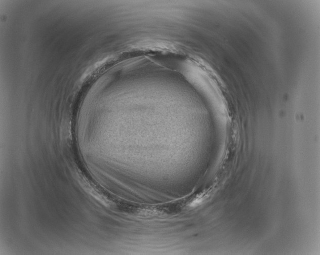 X0000081290399200701251658