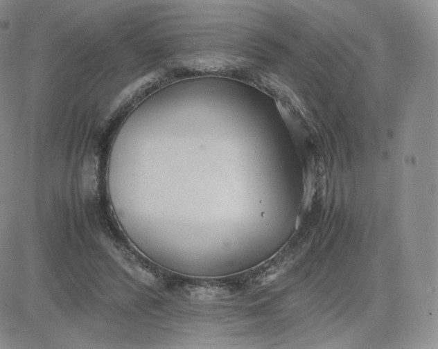 X0000081290400200701251658