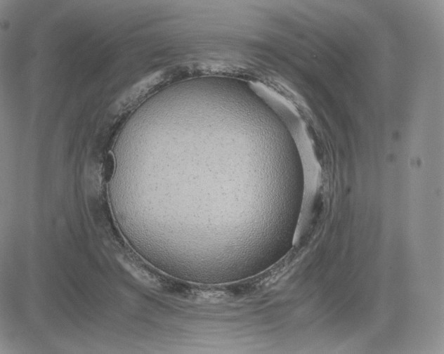 X0000081290401200701251658