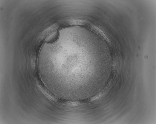 X0000081290402200701251658