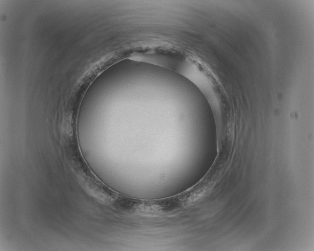 X0000081290403200701251658