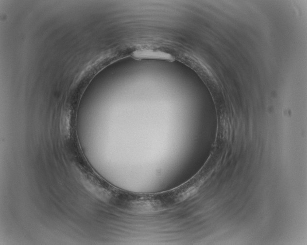 X0000081290404200701251658