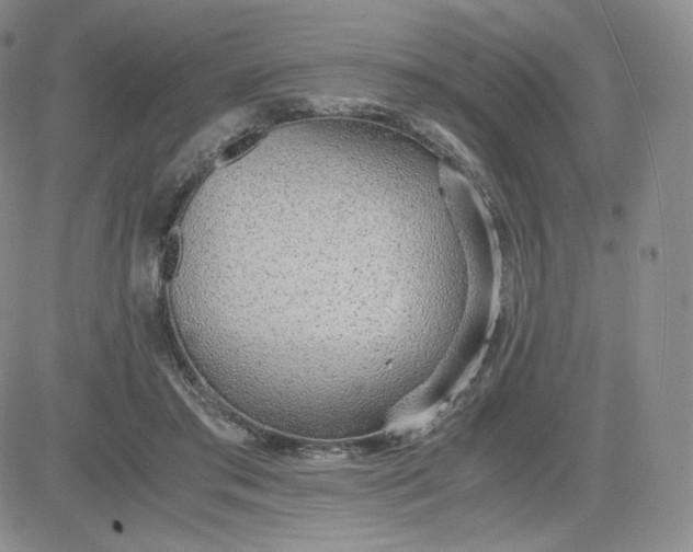 X0000081290405200701251658