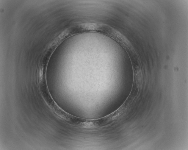 X0000081290406200701251658