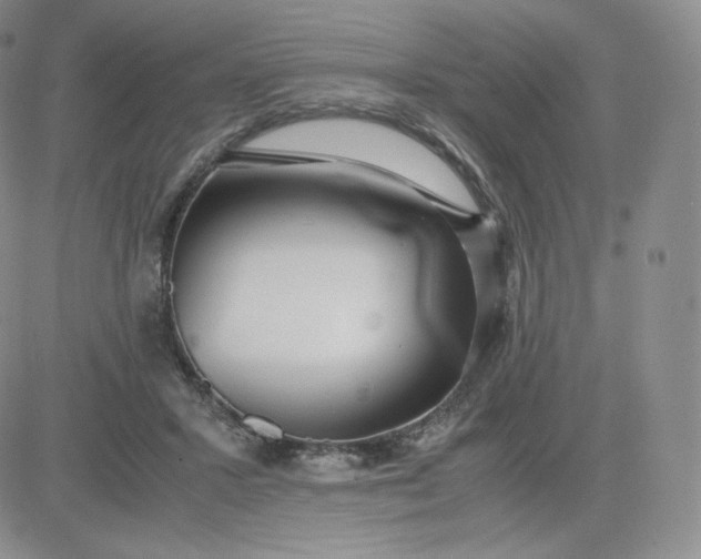 X0000081290407200701251658