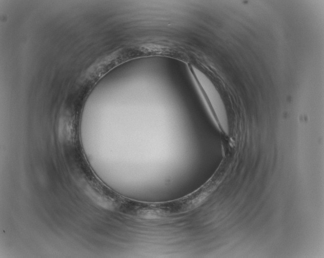 X0000081290408200701251658