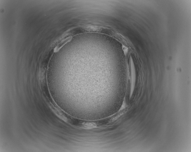 X0000081290409200701251658