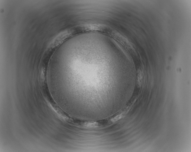 X0000081290410200701251658