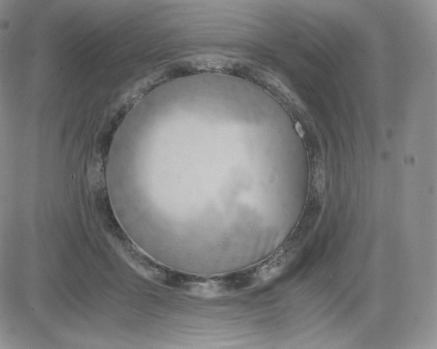 X0000081290411200701251658