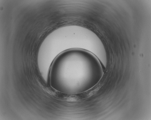 X0000081290412200701251658