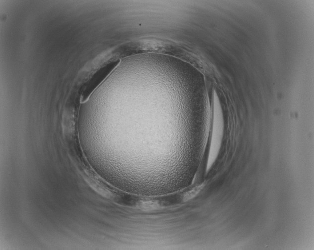 X0000081290413200701251658