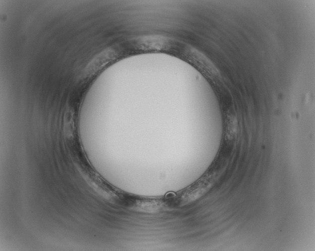 X0000081290414200701251658