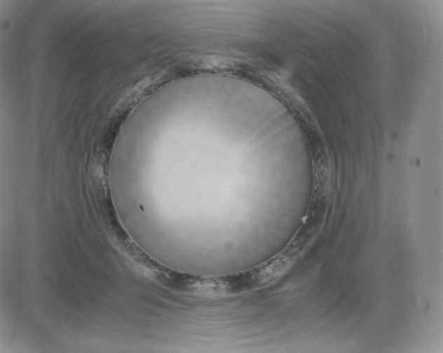 X0000081290415200701251658