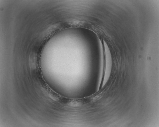 X0000081290416200701251658