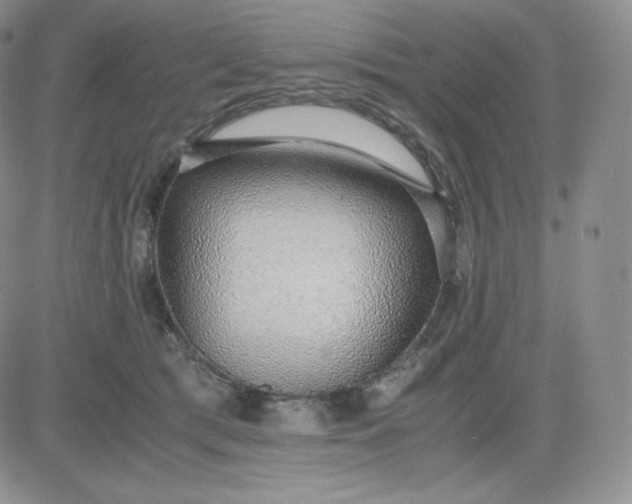 X0000081290417200701251658