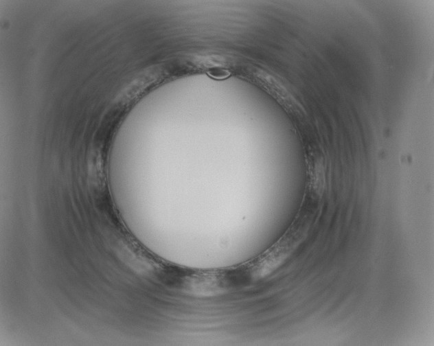 X0000081290418200701251658