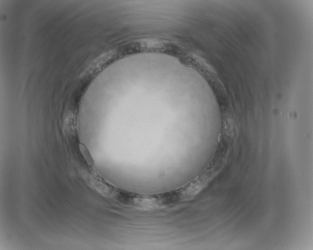 X0000081290419200701251658