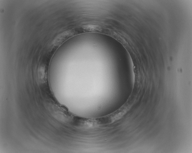 X0000081290420200701251658