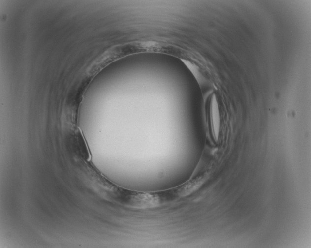 X0000081290421200701251658