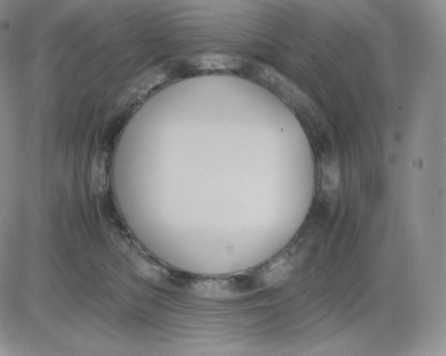 X0000081290422200701251658